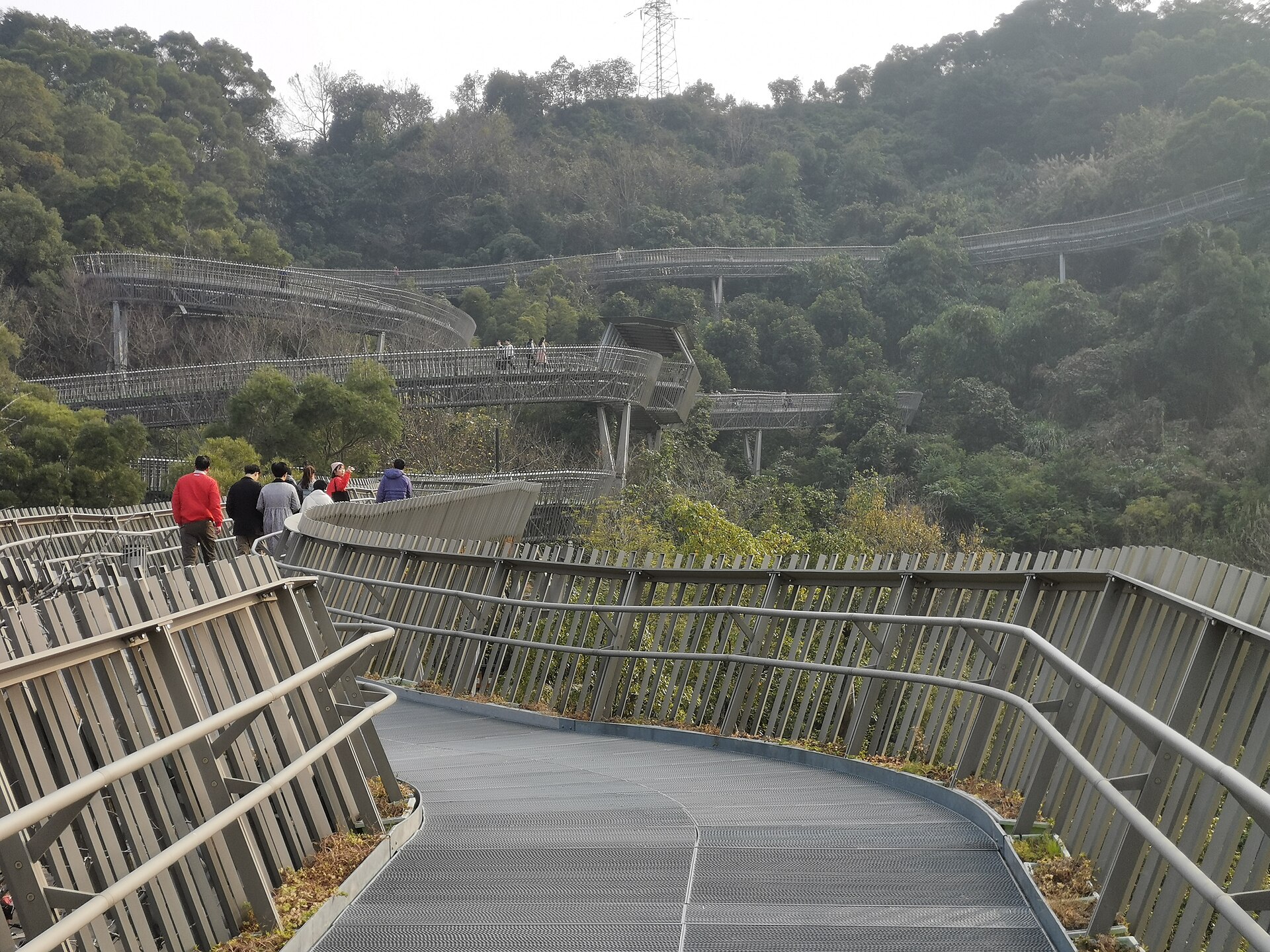 Elevated walkway through wooded hills on a Fuzhou urban forest trail