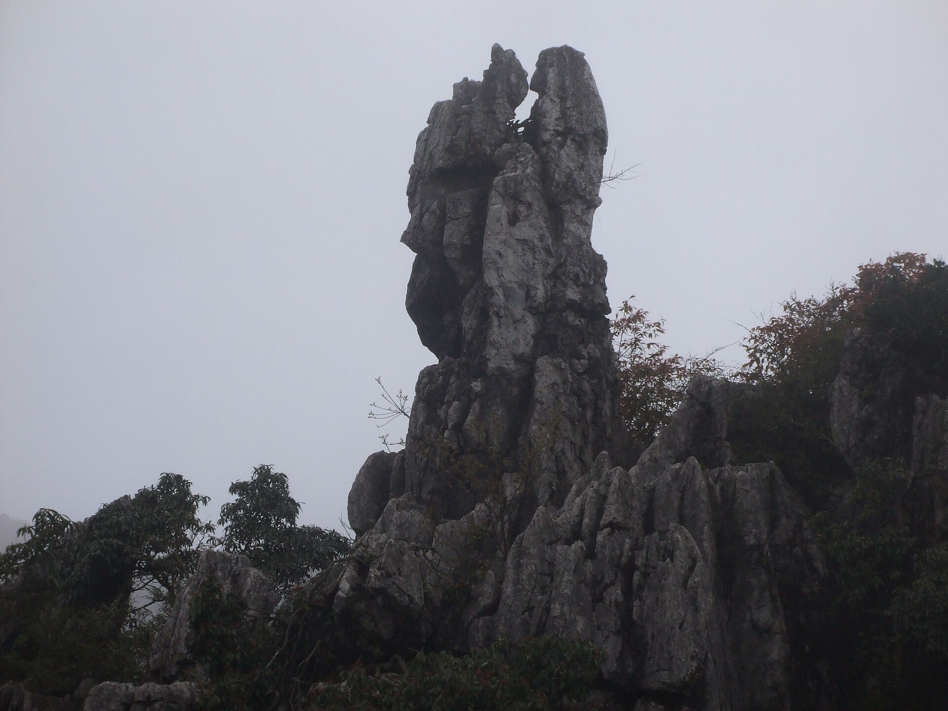 Mist-shrouded limestone pinnacles on Huaying Mountain