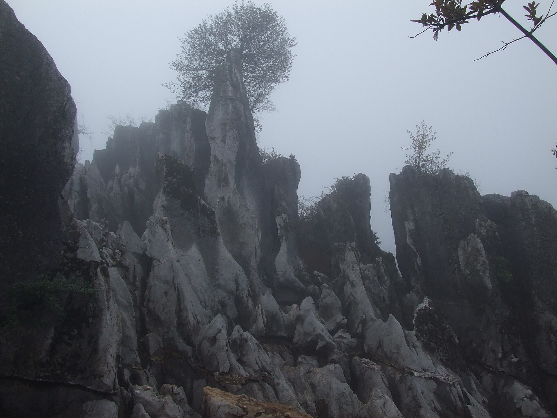 Close view of sharp karst rock fins on Huaying Mountain