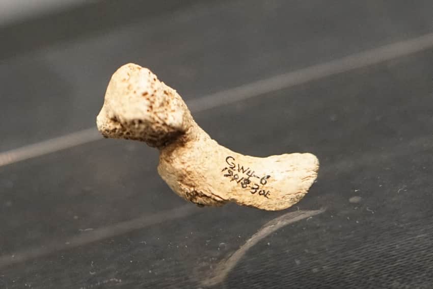 Bird-shaped bone ornament displayed at Guizhou Provincial Museum