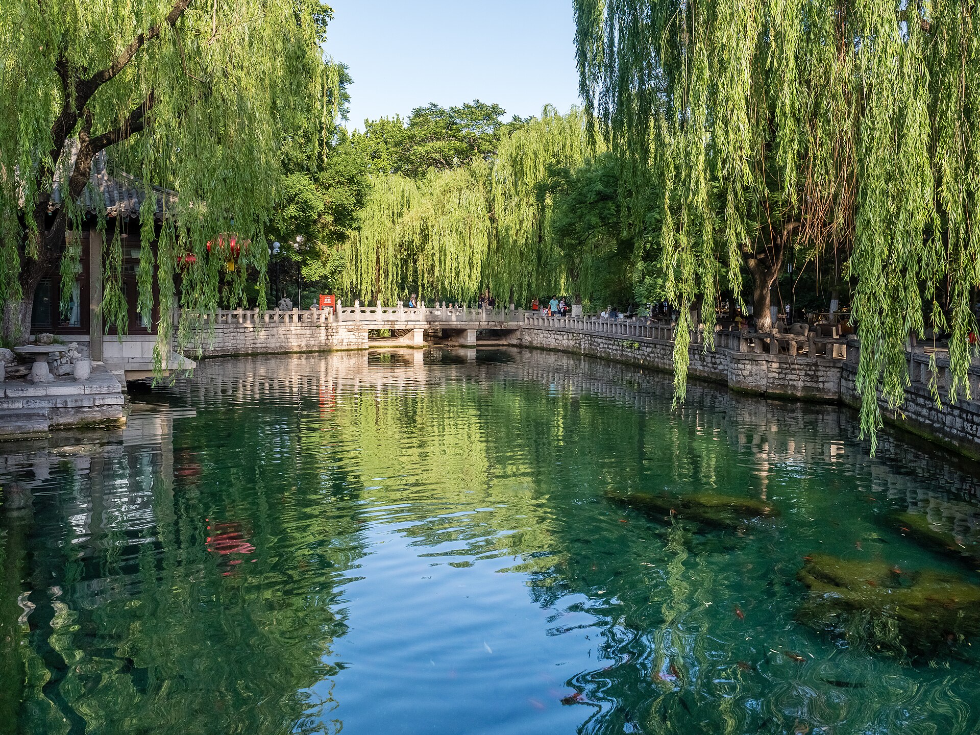 Baotu Spring pond with stone bridge and willow trees