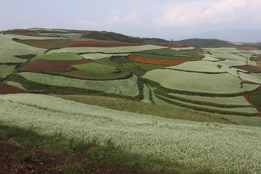 Dongchuan Red Land in the Kunming city profile