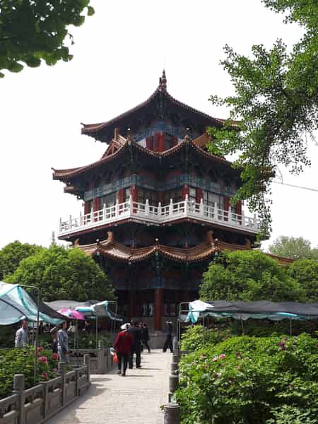 Peony festival in Luoyang