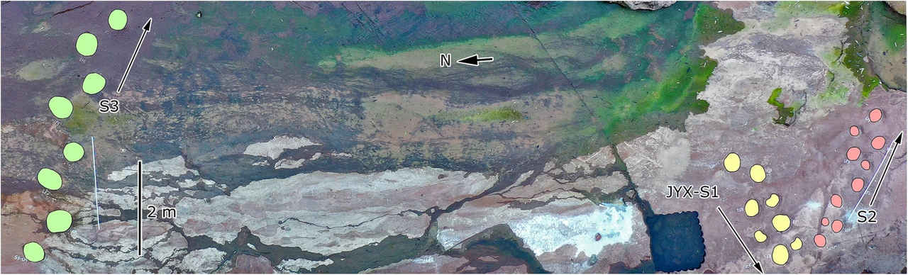Scientific image and outline of sauropod trackways at Jinyuxi, Gulin County
