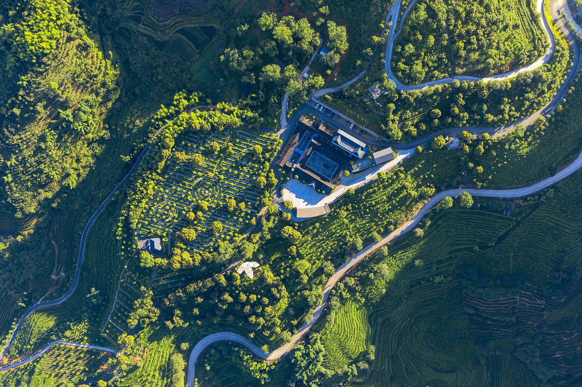 Aerial view of patterned tea terraces, forest and estate buildings in Anxi
