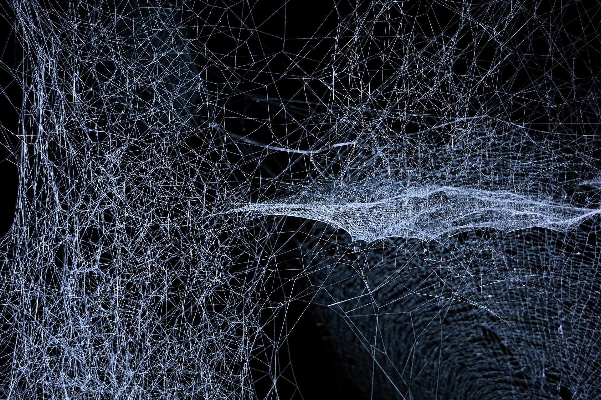 White filament installation suspended in a dark gallery at Power Station of Art