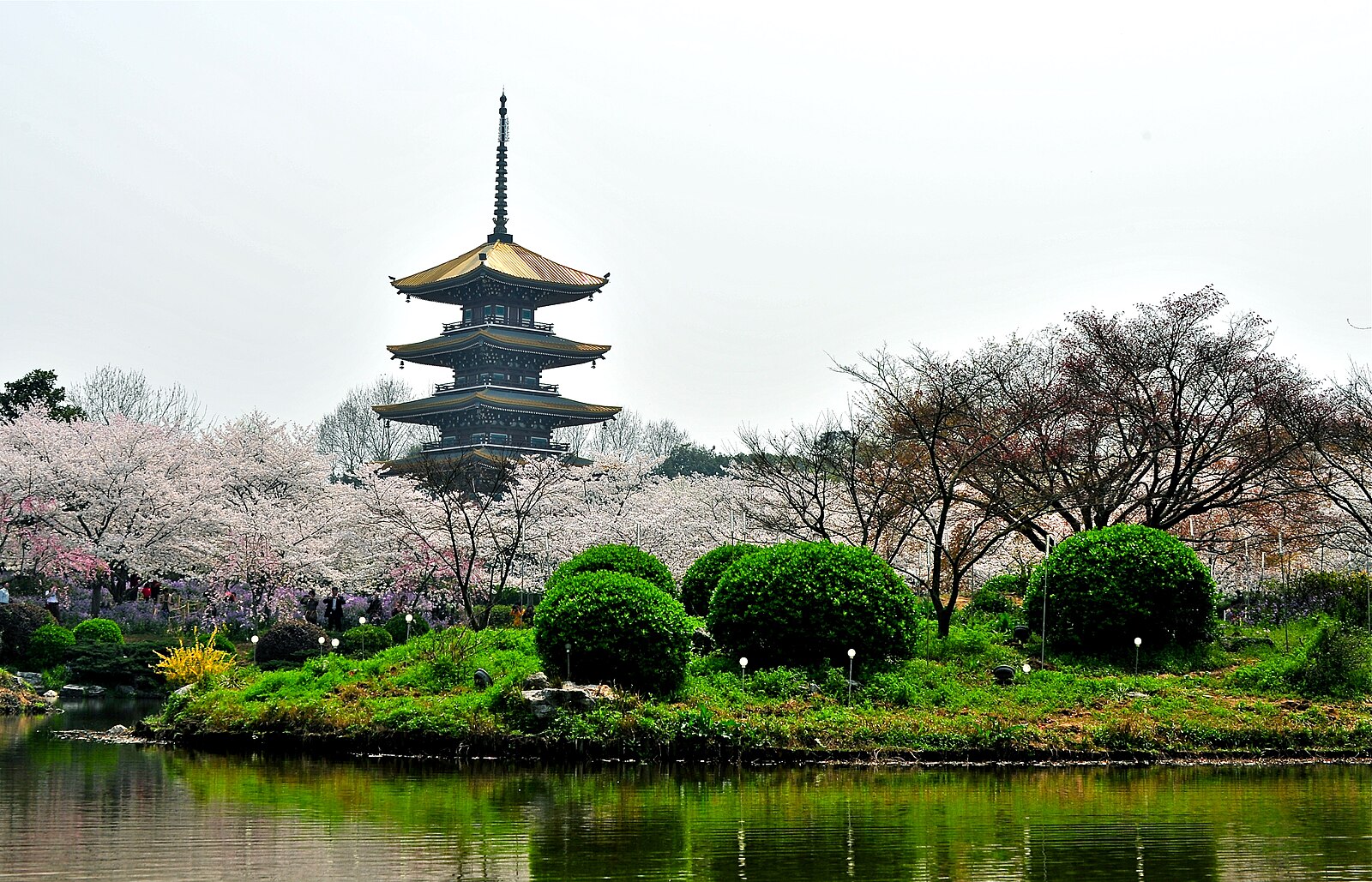 Cherry blossom garden and pagoda at East Lake