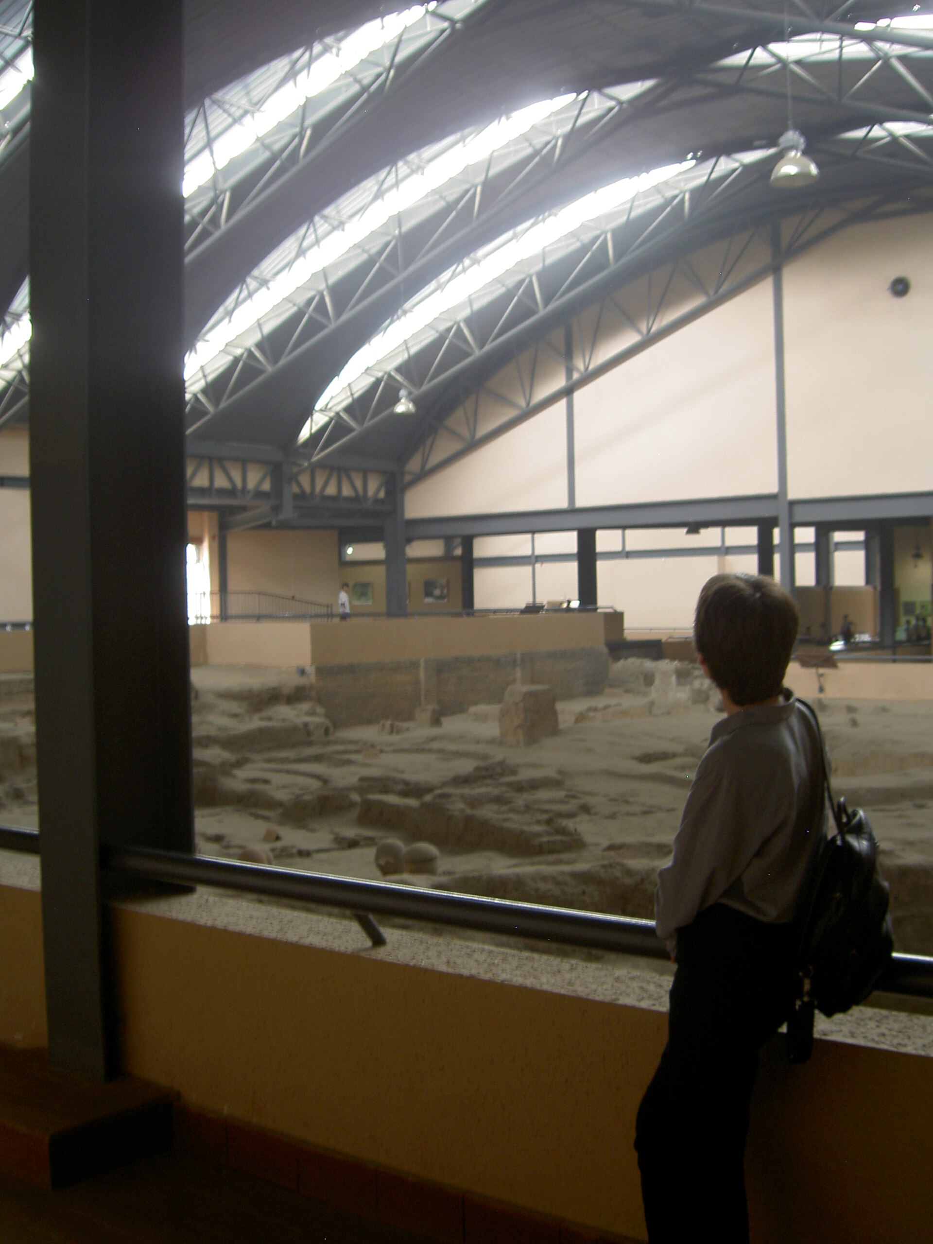 Visitor overlooking excavated remains inside the Banpo protective hall