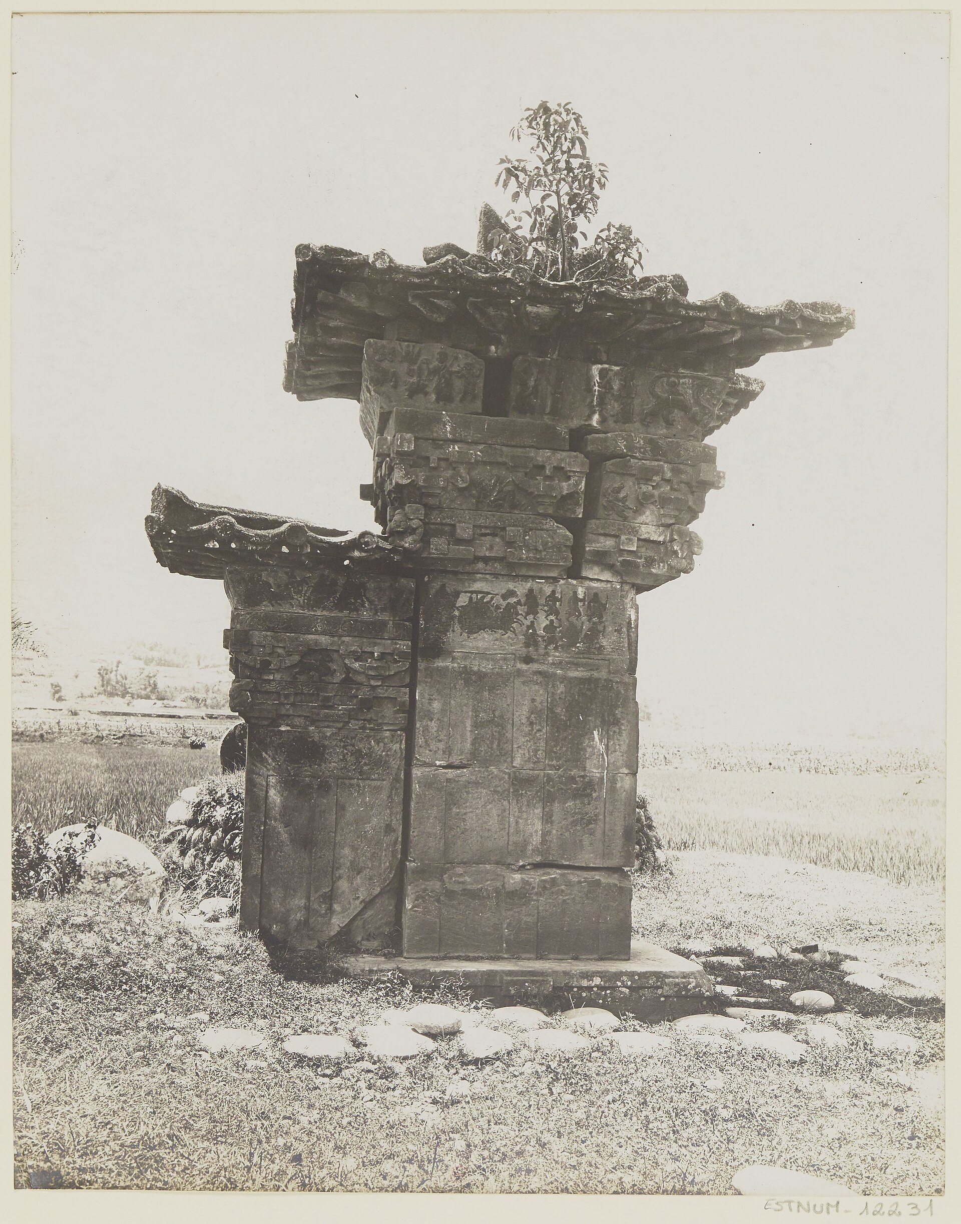 Public-domain 1914 view of Gao Yi Que in cultivated land