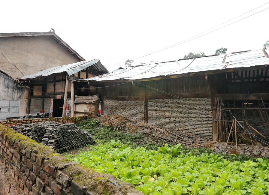 Working rear court with vegetables and stored tiles at Jiang family courtyard