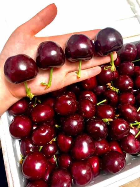 Yantai cherries in Yantai