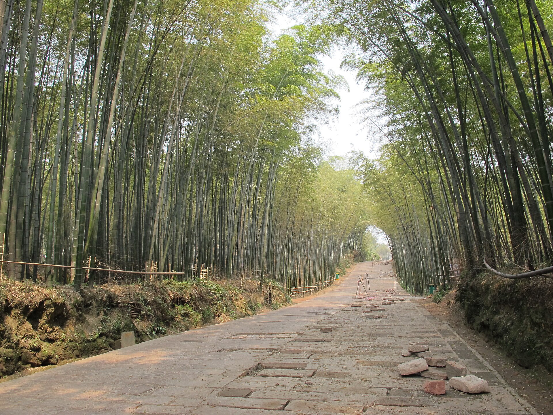 Paved Emerald Corridor beneath bamboo in the Shunan Bamboo Sea