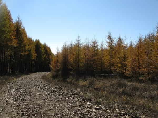 张家口崇礼山地景观