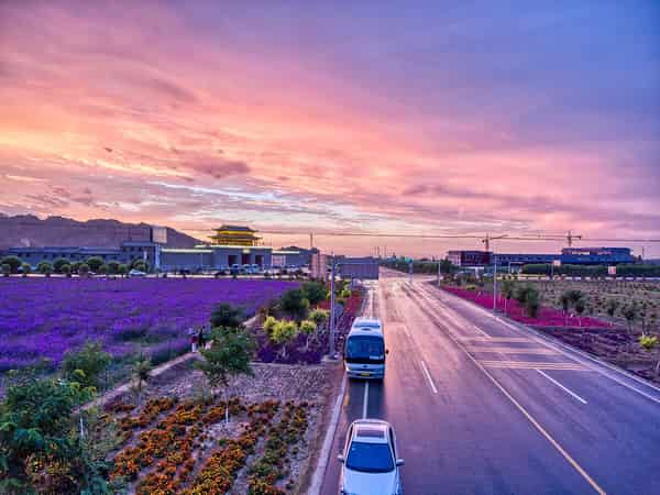 Zhangye flower fields in Zhangye