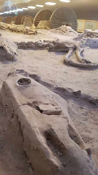 Linzi chariot burial site in Zibo