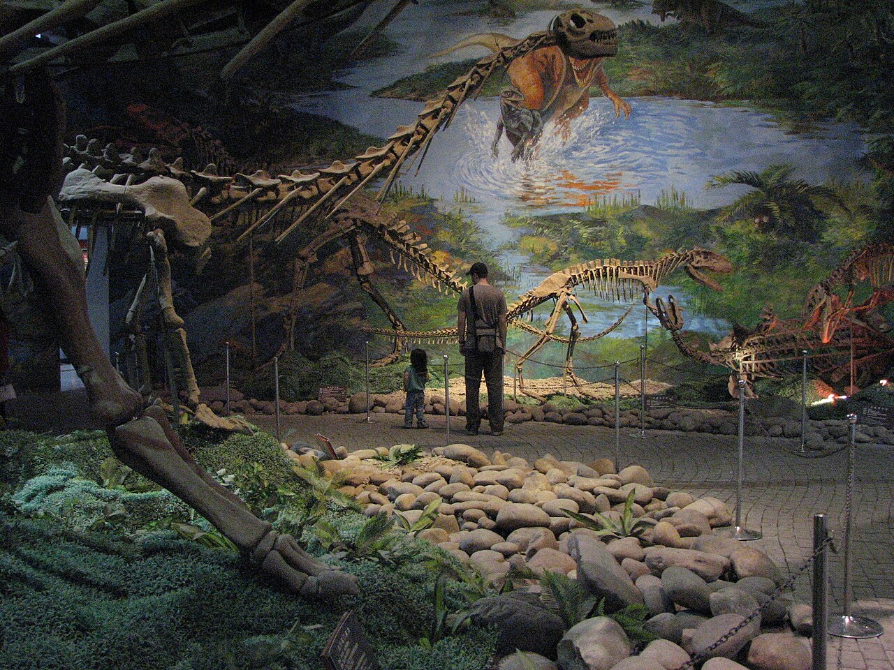 Mounted dinosaur skeletons inside Zigong Dinosaur Museum